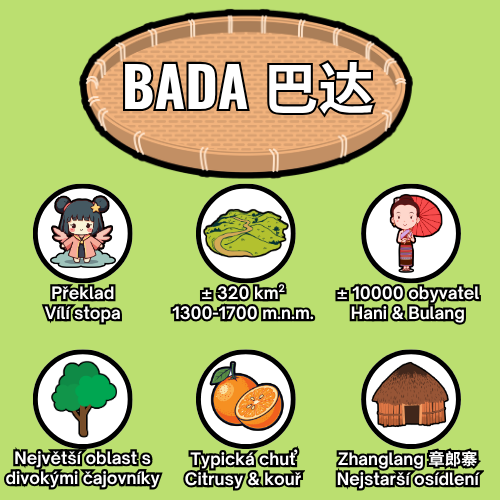 Bada - overview - CZ